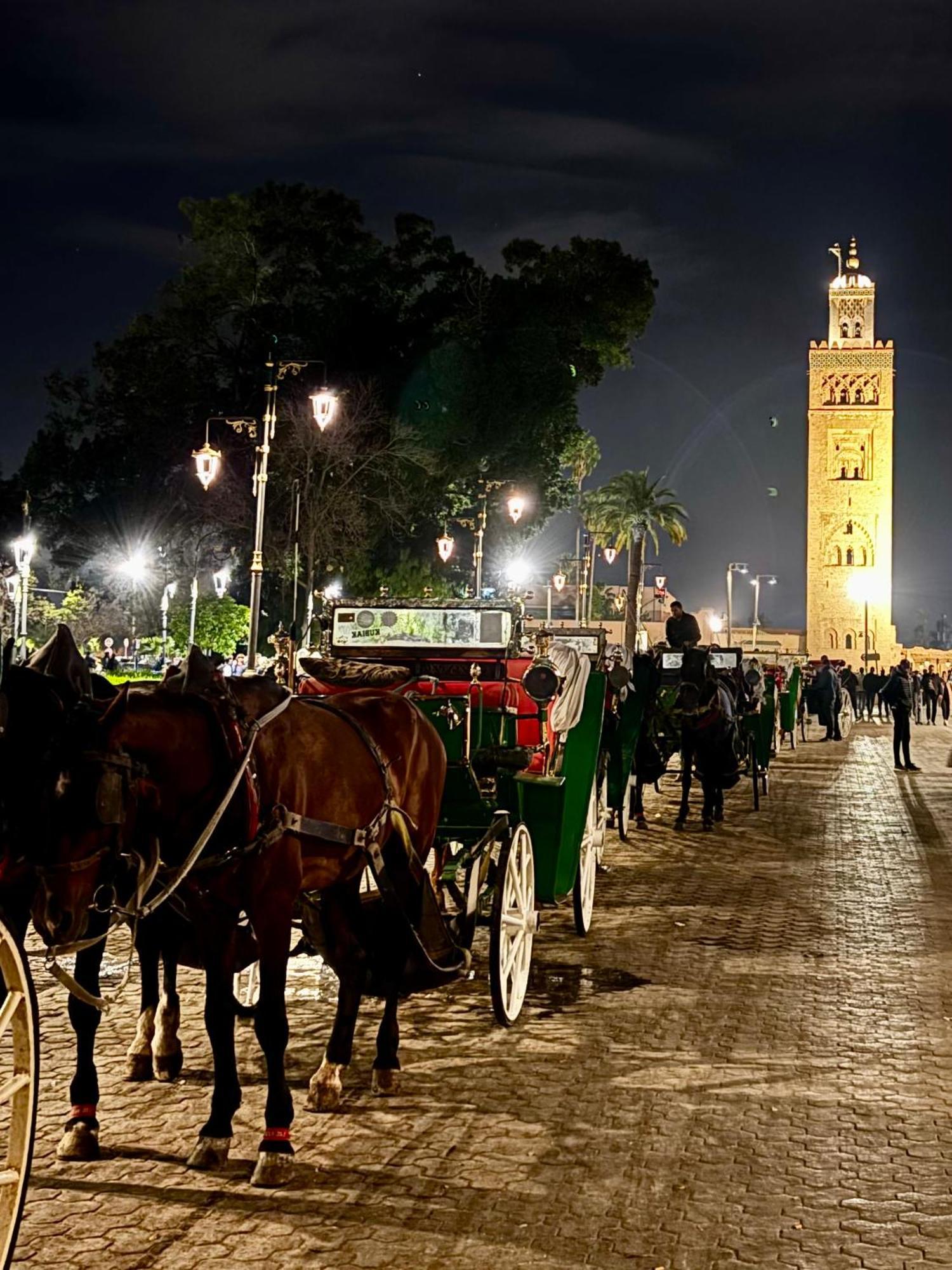 La Cigale Riad